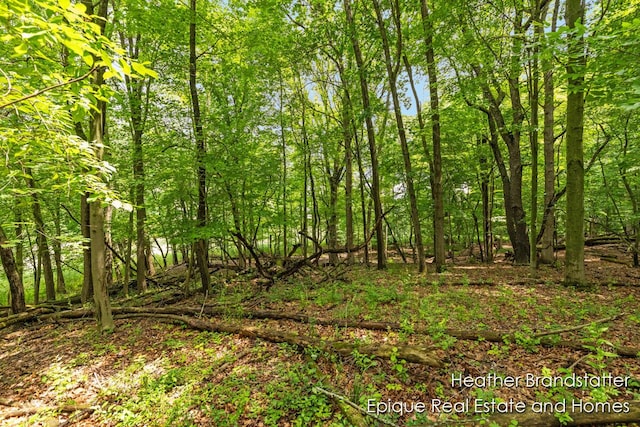4327 Woodside Oaks Dr SE, Kentwood, MI 49546 - photo 8