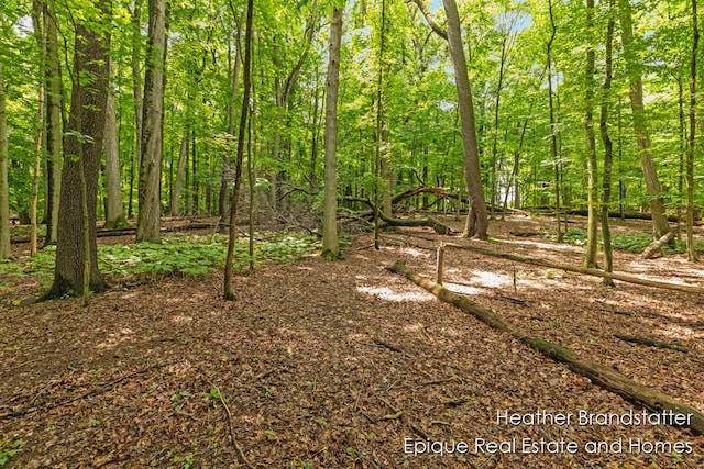 4327 Woodside Oaks Dr SE, Kentwood, MI 49546 - photo 10