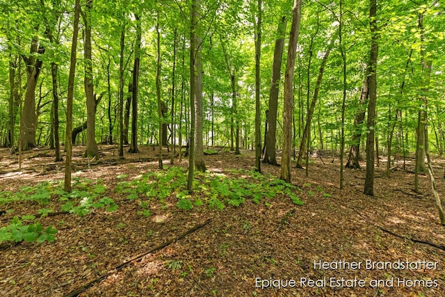 4327 Woodside Oaks Dr SE, Kentwood, MI 49546 - photo 11