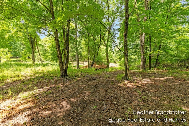 4327 Woodside Oaks Dr SE, Kentwood, MI 49546 - photo 12