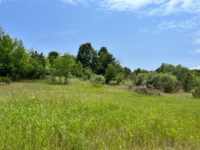VL Linderman Rd, Bear Lake, MI 49614 - photo 3