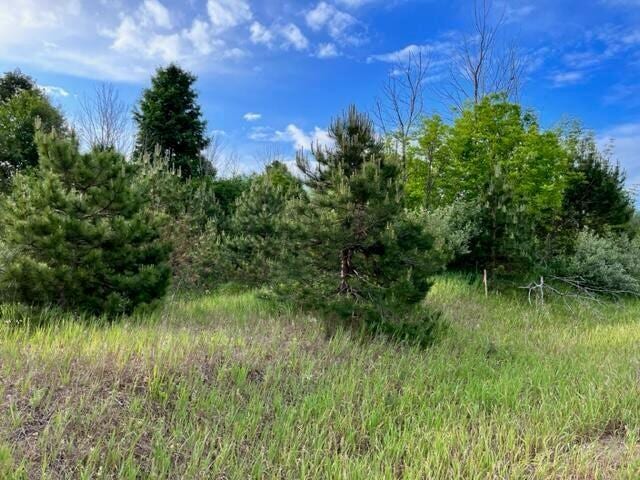 VL Linderman Rd, Bear Lake, MI 49614 - photo 5