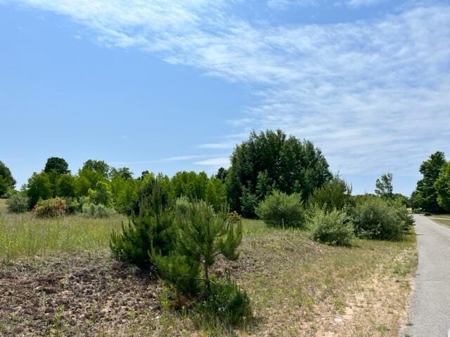 VL Linderman Rd, Bear Lake, MI 49614 - photo 7