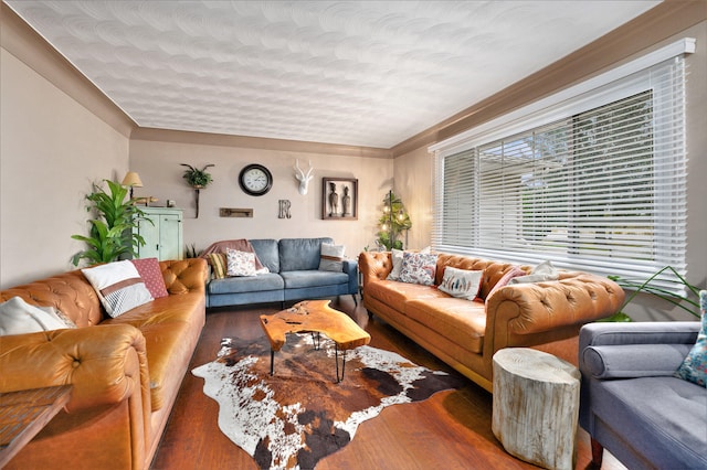 living room featuring a textured ceiling and dark hardwood / wood-style floors