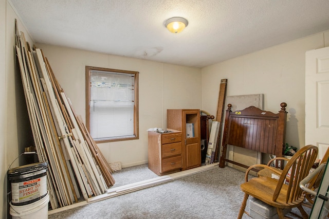 bedroom with a textured ceiling and carpet floors