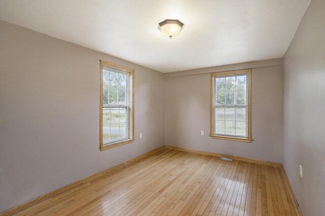 empty room with light hardwood / wood-style floors and a wealth of natural light