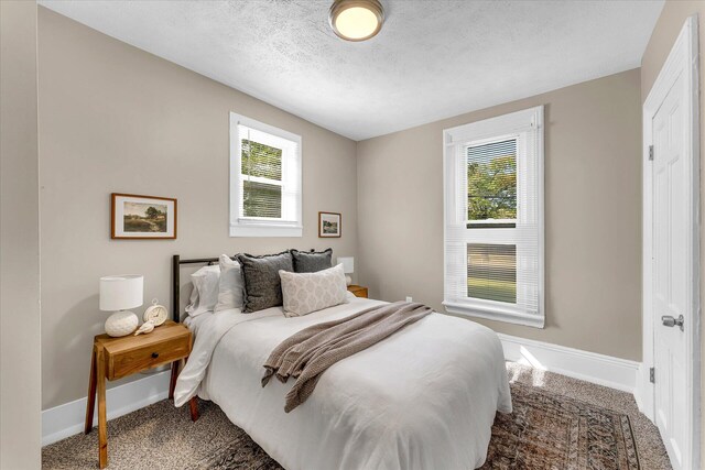 bedroom featuring carpet, multiple windows, and a textured ceiling