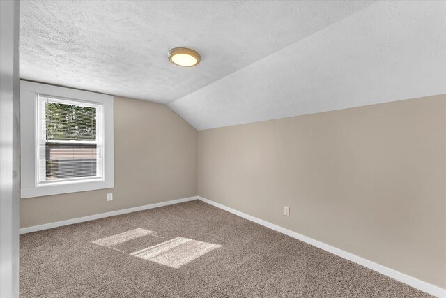 additional living space featuring a textured ceiling, vaulted ceiling, and carpet floors