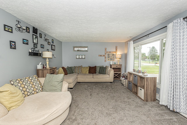 living room featuring a textured ceiling and light colored carpet