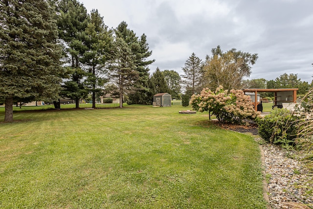 view of yard with a storage shed