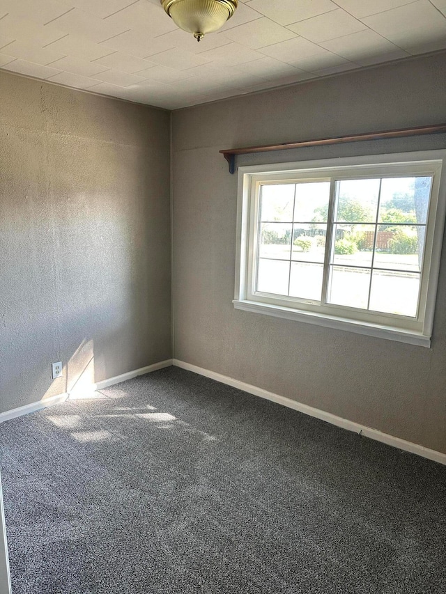 unfurnished room with carpet and a healthy amount of sunlight