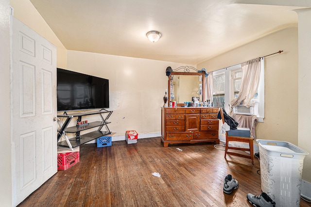 miscellaneous room featuring wood-type flooring and vaulted ceiling