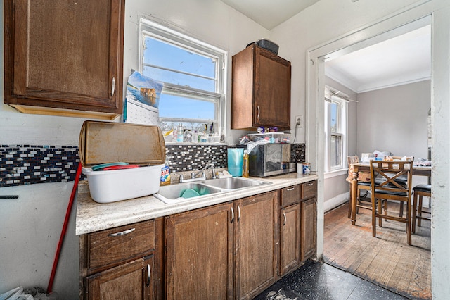 kitchen featuring crown molding, sink, and dark hardwood / wood-style flooring