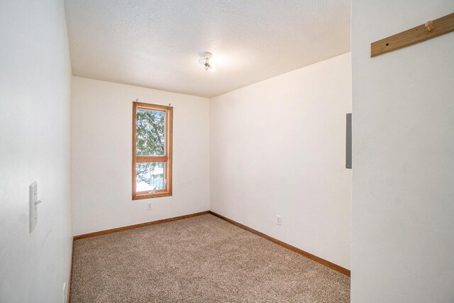 3143 US 31 N, Conway, MI 49722 - spare room featuring baseboards, a textured ceiling, and light carpet