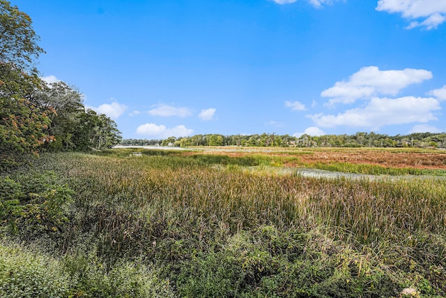 view of landscape with a rural view