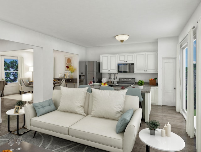 living room with hardwood / wood-style flooring