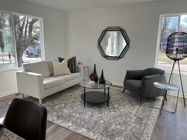 living room featuring dark hardwood / wood-style flooring and a wealth of natural light