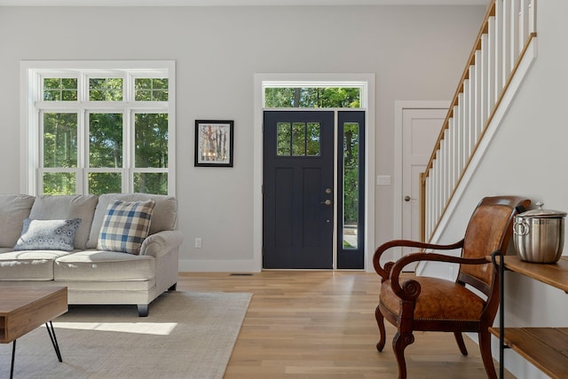 foyer with light hardwood / wood-style flooring and a healthy amount of sunlight