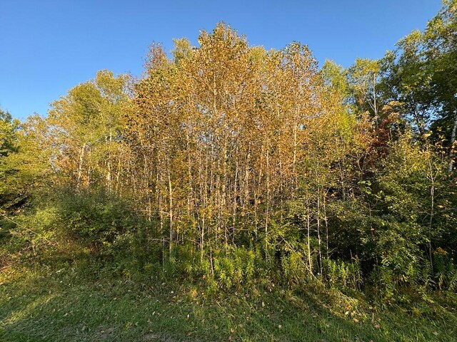 view of local wilderness