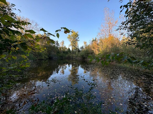 view of water feature