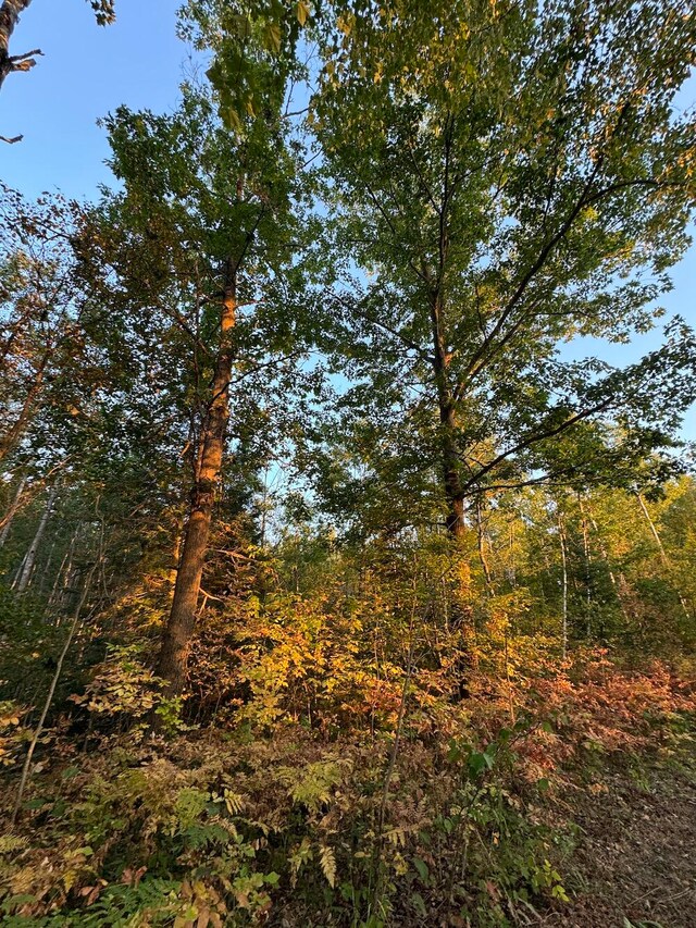 view of local wilderness