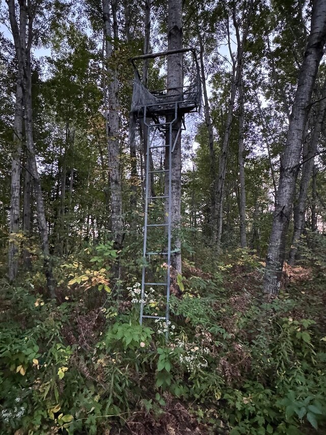 view of local wilderness