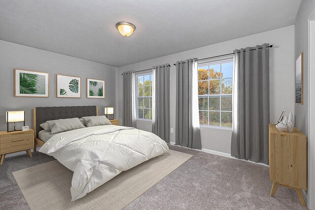 bedroom with carpet floors