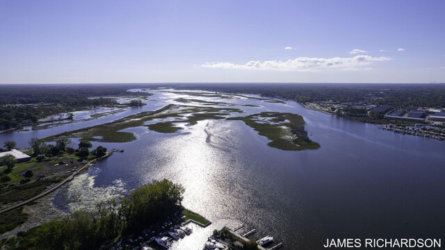 birds eye view of property featuring a water view