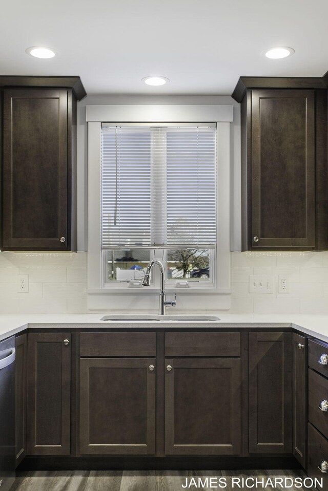 kitchen featuring dark brown cabinetry, stainless steel dishwasher, sink, and dark hardwood / wood-style flooring