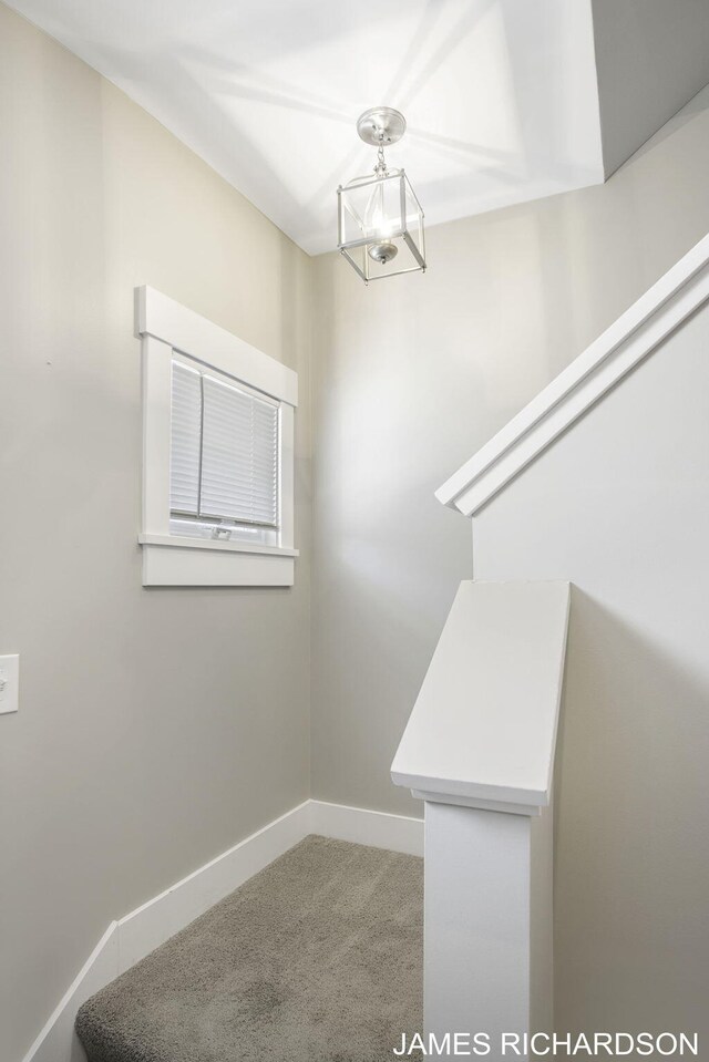 staircase with carpet