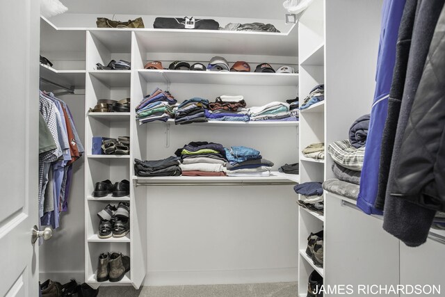 spacious closet with carpet