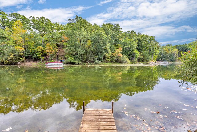 dock area featuring a water view