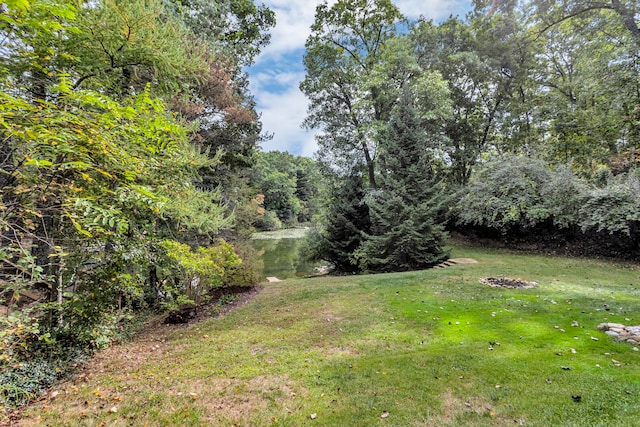 view of yard featuring a water view