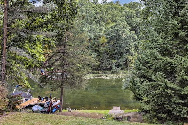 125 Westshore Dr, Jerome, MI 49249 - view of yard featuring a forest view, a boat dock, and a water view