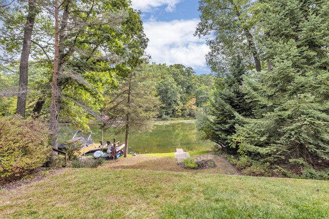 125 Westshore Dr, Jerome, MI 49249 - view of yard featuring a view of trees