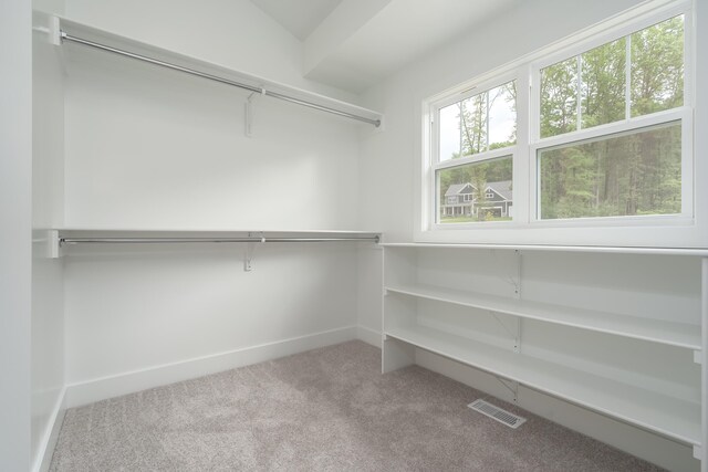 spacious closet with lofted ceiling and light carpet