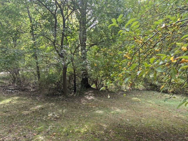 LOT6 Westshore Dr, Jerome, MI 49249