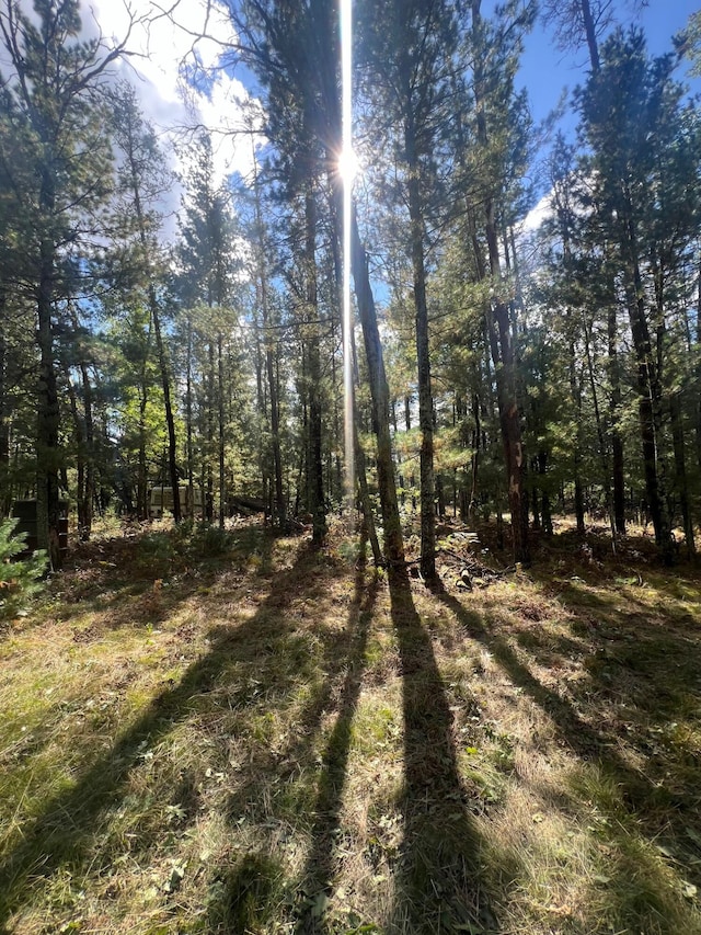 00 S Forest Ln, Idlewild, MI 49642