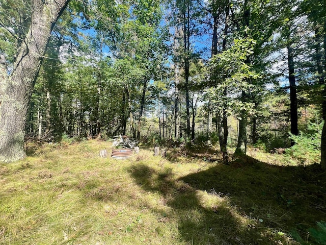 00 S Forest Ln, Idlewild, MI 49642