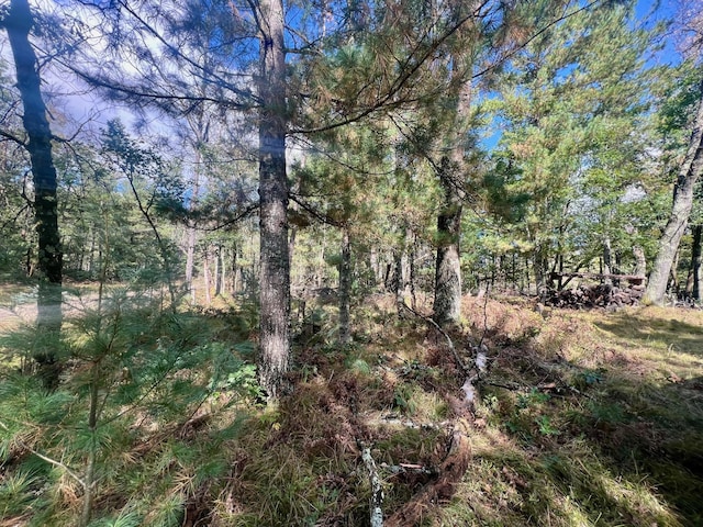 00 S Forest Ln, Idlewild, MI 49642