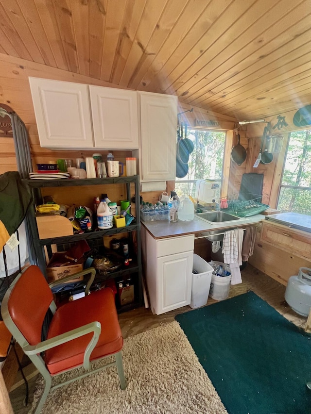 00 S Forest Ln, Idlewild, MI 49642