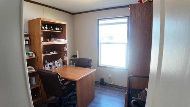 office space featuring ornamental molding and dark wood-type flooring