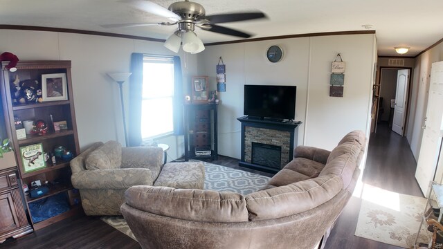 living room featuring ornamental molding, ceiling fan, dark hardwood / wood-style floors, and a stone fireplace