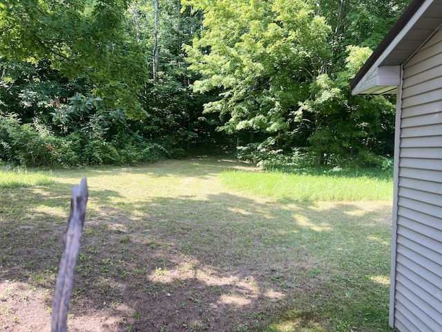 23920 Beers Rd, Mesick, MI 49668