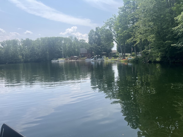 23920 Beers Rd, Mesick, MI 49668
