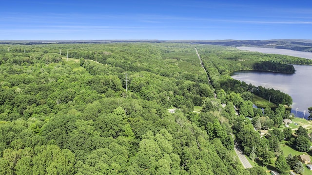 23920 Beers Rd, Mesick, MI 49668