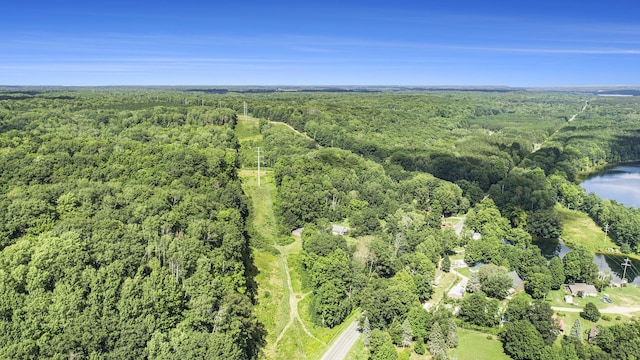 23920 Beers Rd, Mesick, MI 49668