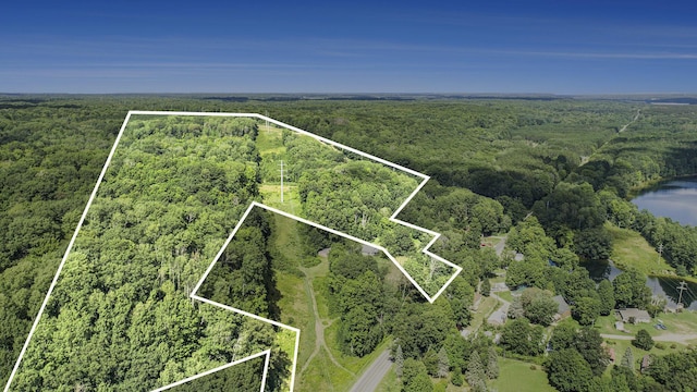23920 Beers Rd, Mesick, MI 49668