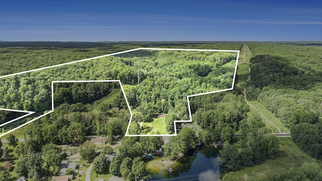 23920 Beers Rd, Mesick, MI 49668