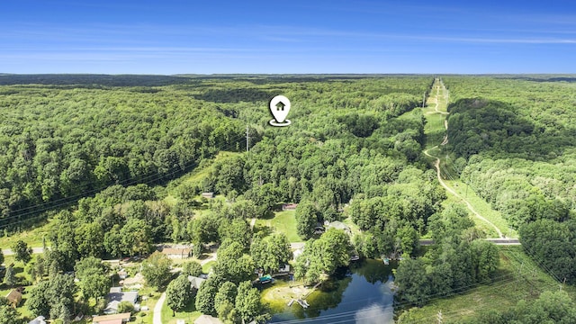 23920 Beers Rd, Mesick, MI 49668